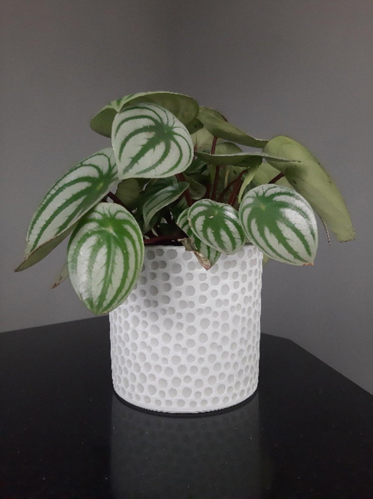 City To Cottage Portaburro In Ceramica Celeste Con Pois Bianchi - Set Da Tavola Dipinto A Mano