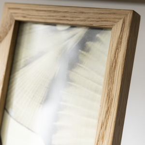 Cornice portafoto EMILIA in legno color bianco 13x18 Cm