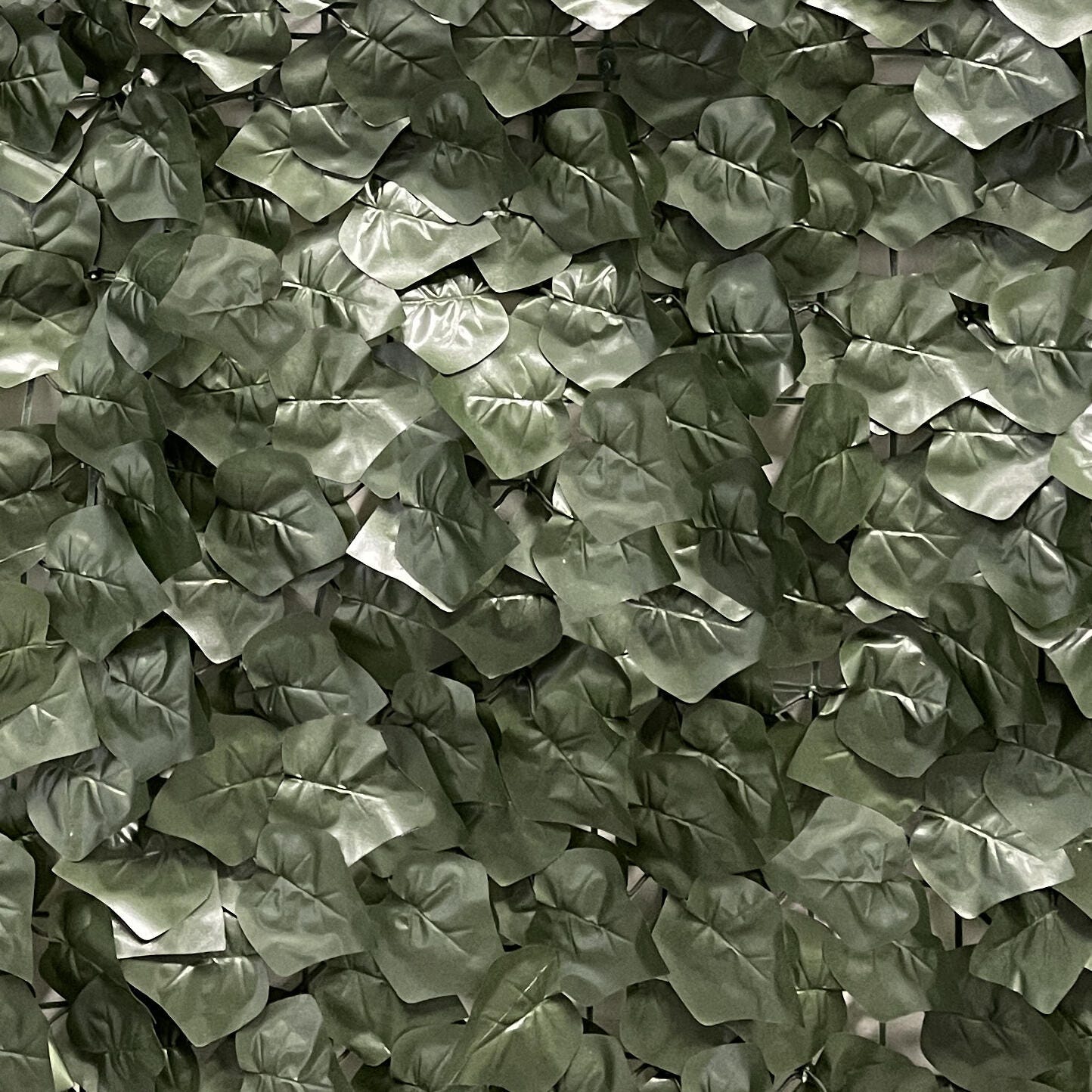 Siepe artificiale Edera Divy 3D in poliestere, verde H 1 m x L 3 m