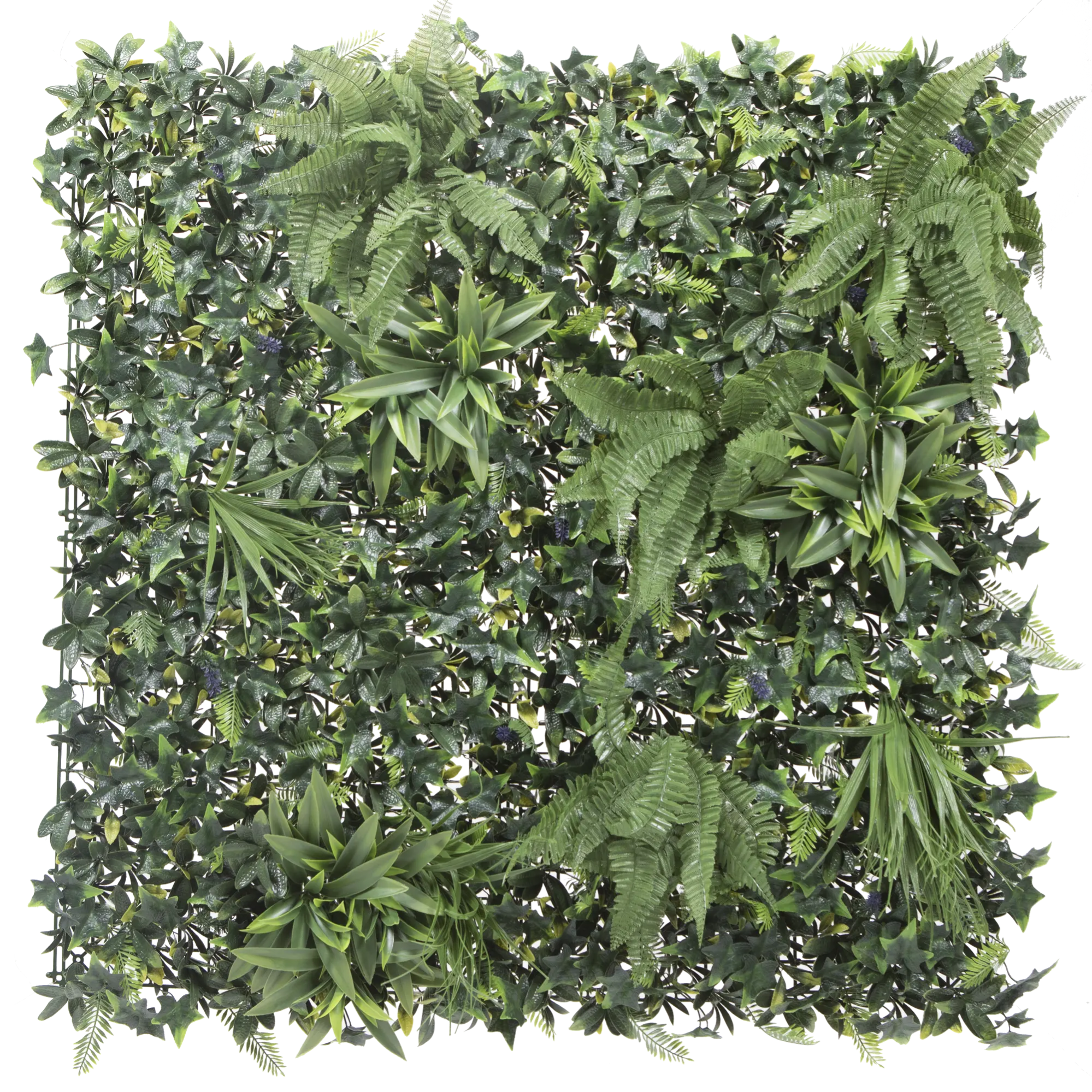 Erba artificiale quadrata 50 x 50 cm, erba finta realistica, decorazione per la casa, pianta simulata da parete, decorazione da parete (2