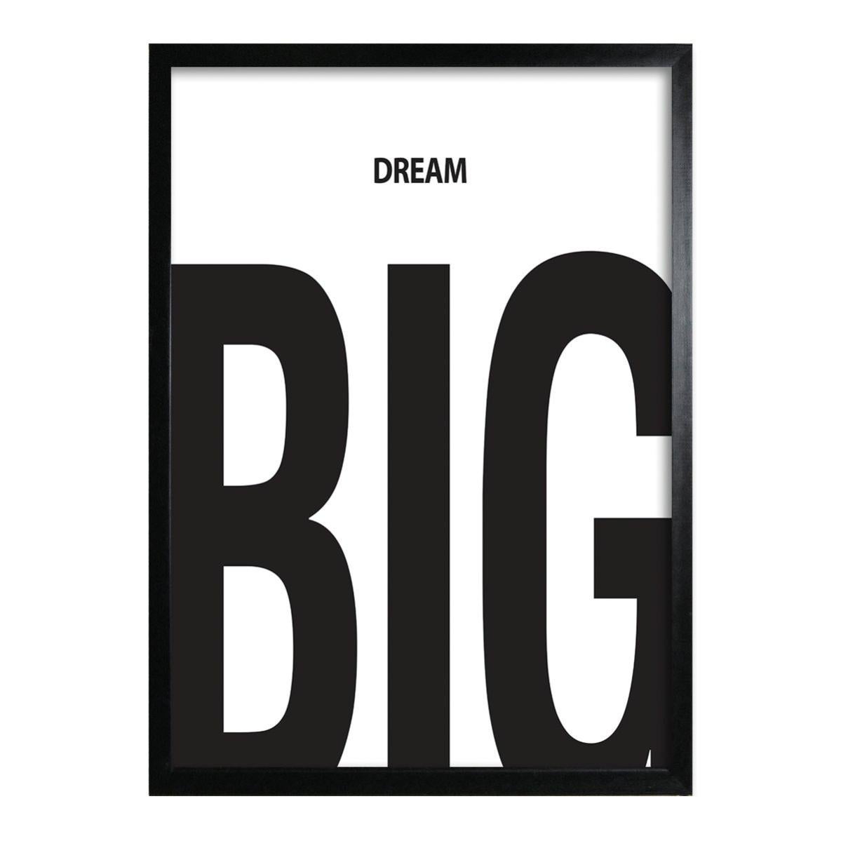 Quadro stampa incorniciato Sisyr Striatum 24.7x30.7 cm | Leroy Merlin