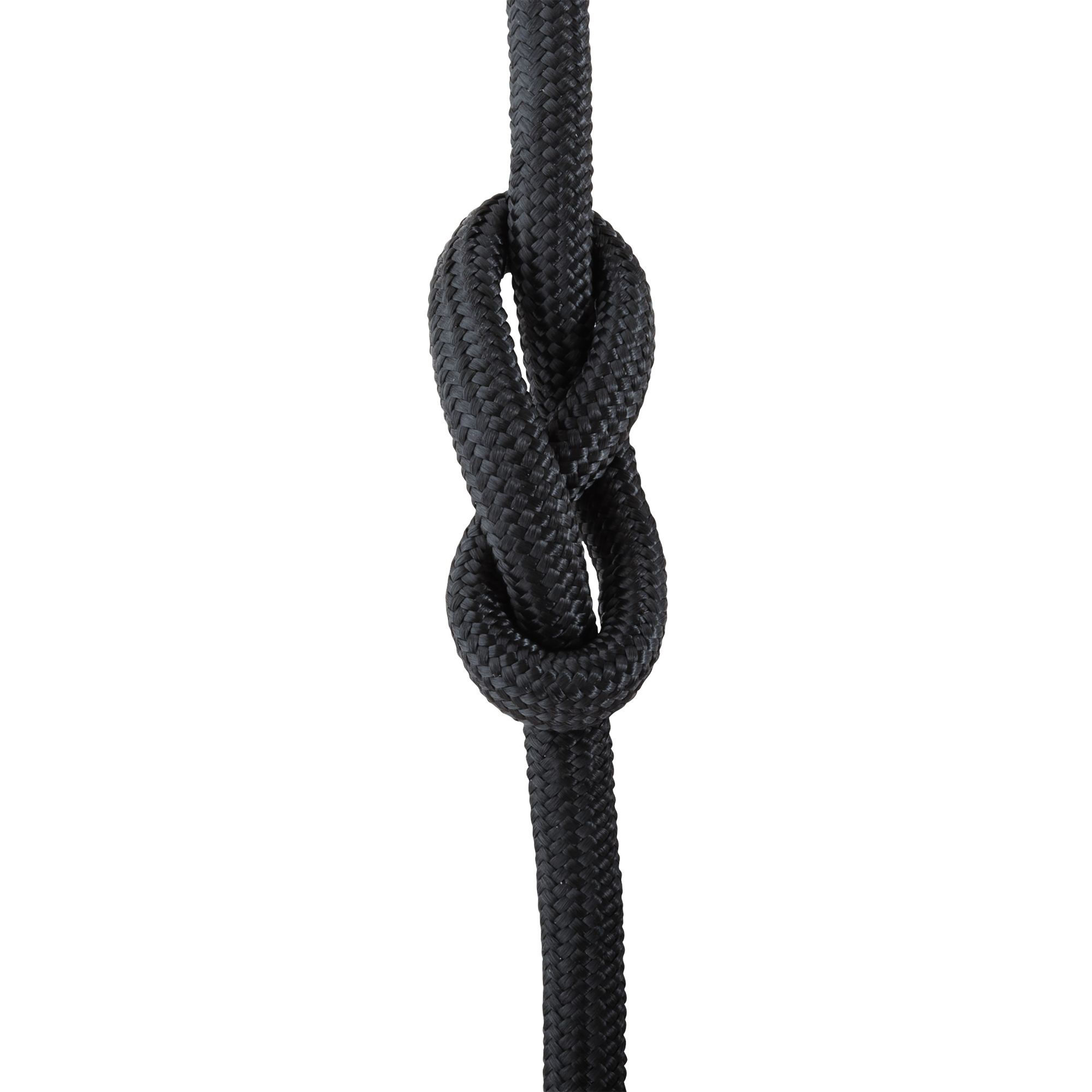 Longa Per Cane Chapuis Sellerie - Corda Polipropilene 8mm, 10 Metri, Nero - Foto 4