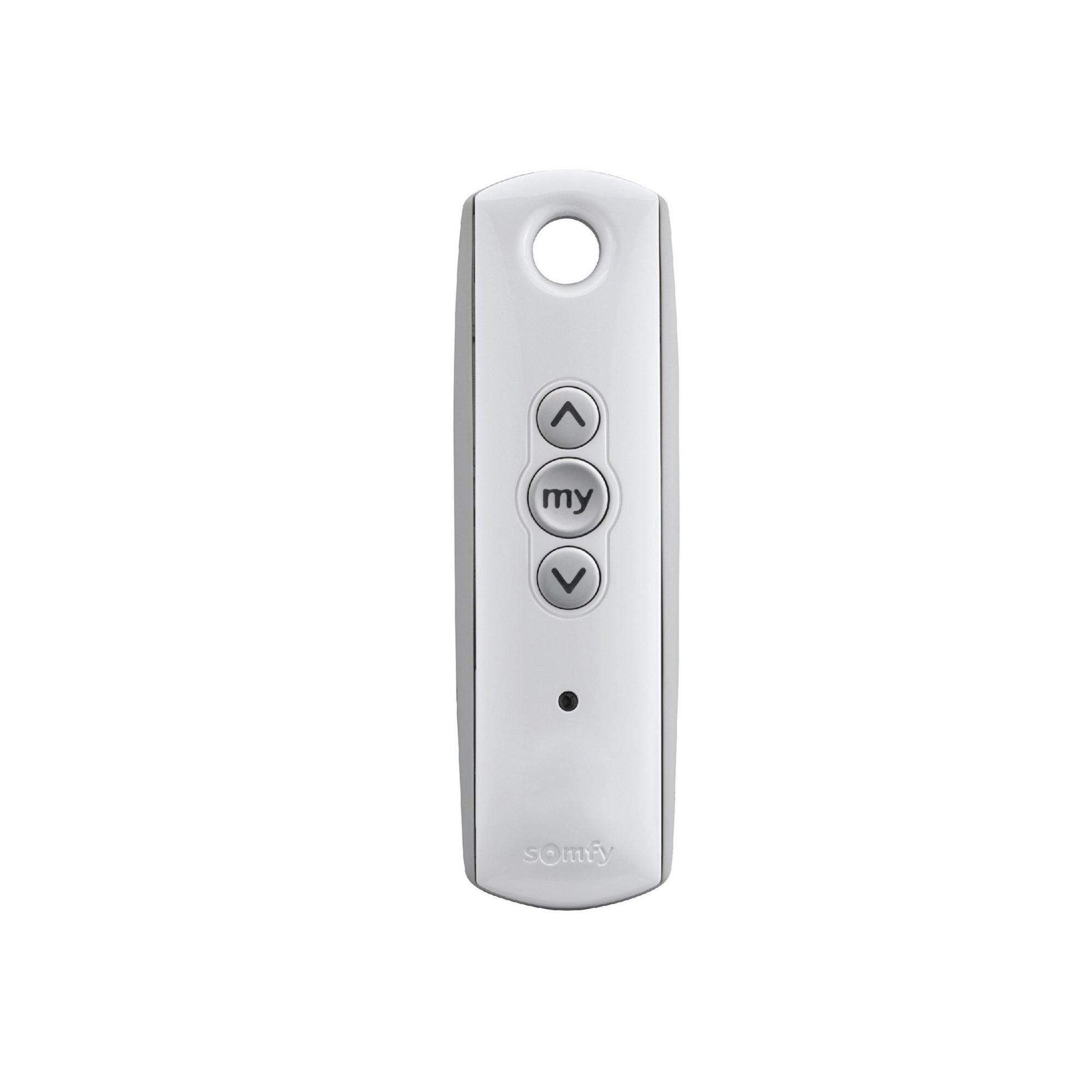 Telecomando Rolling code SITUO 1 SF/1870405 433.92 MHZ 2 canali | Leroy ...