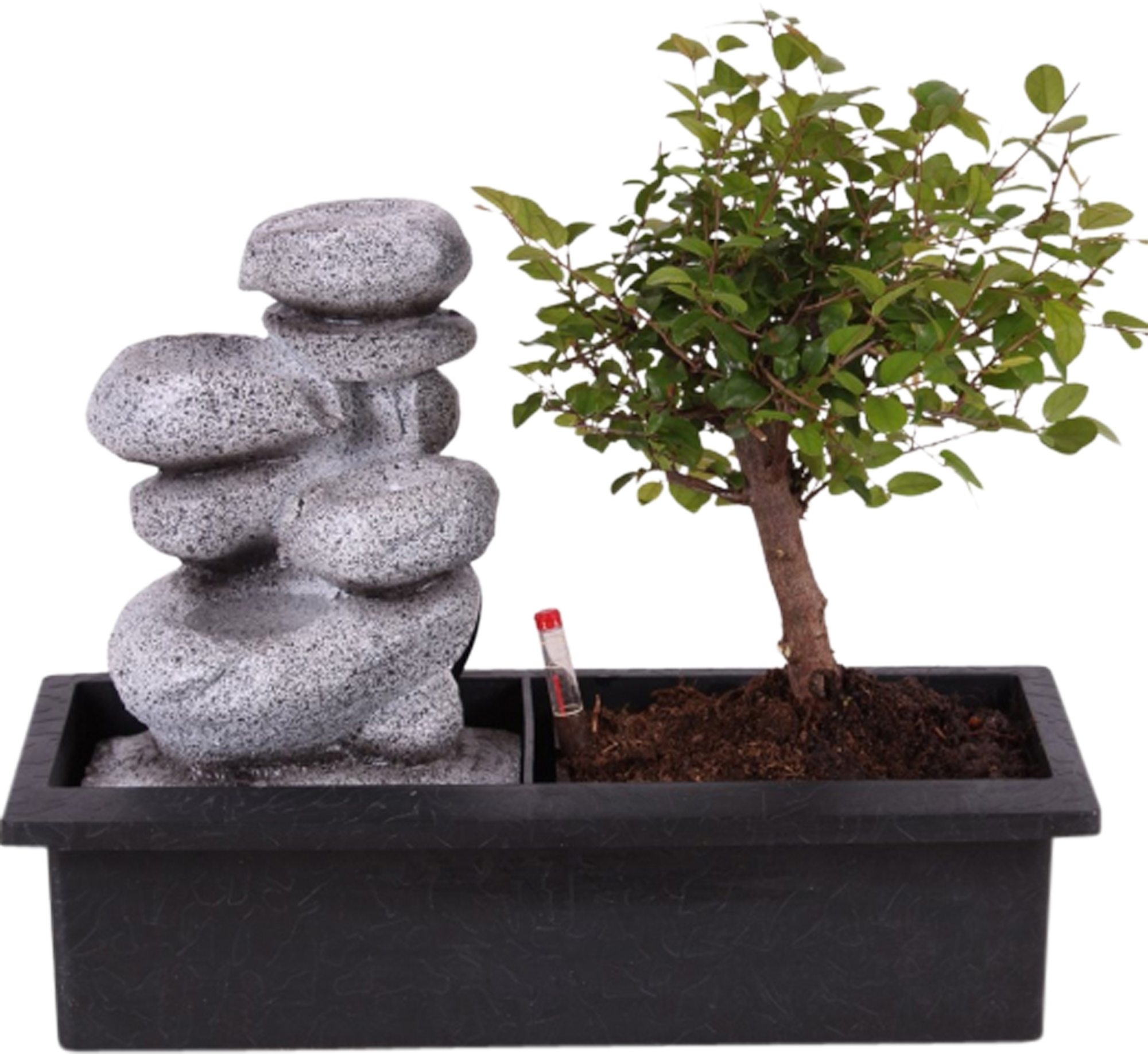 Bonsai Easy Care mix 40 cm Leroy Merlin