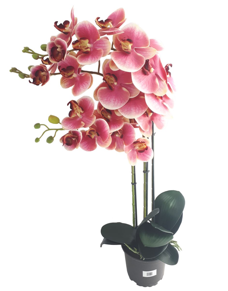 Storczyk sztuczny 3pędy 80cm