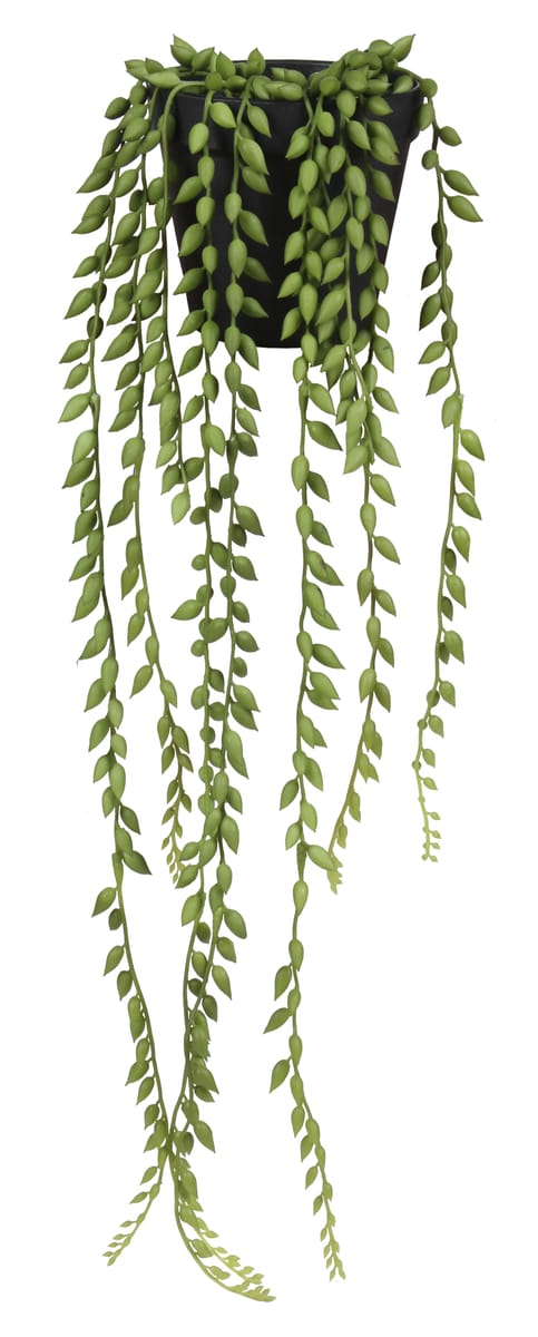 Senecio sztuczne 52cm w doniczce