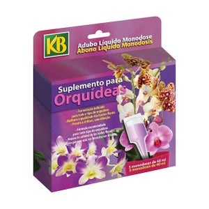 Vaso / Vasca Teku Transparente para Orquídeas MPB 6 (6cm)