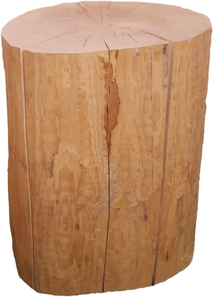 Avia Mesa de Centro de madera maciza 120 x 70 x 40 cm l Dimehouse 