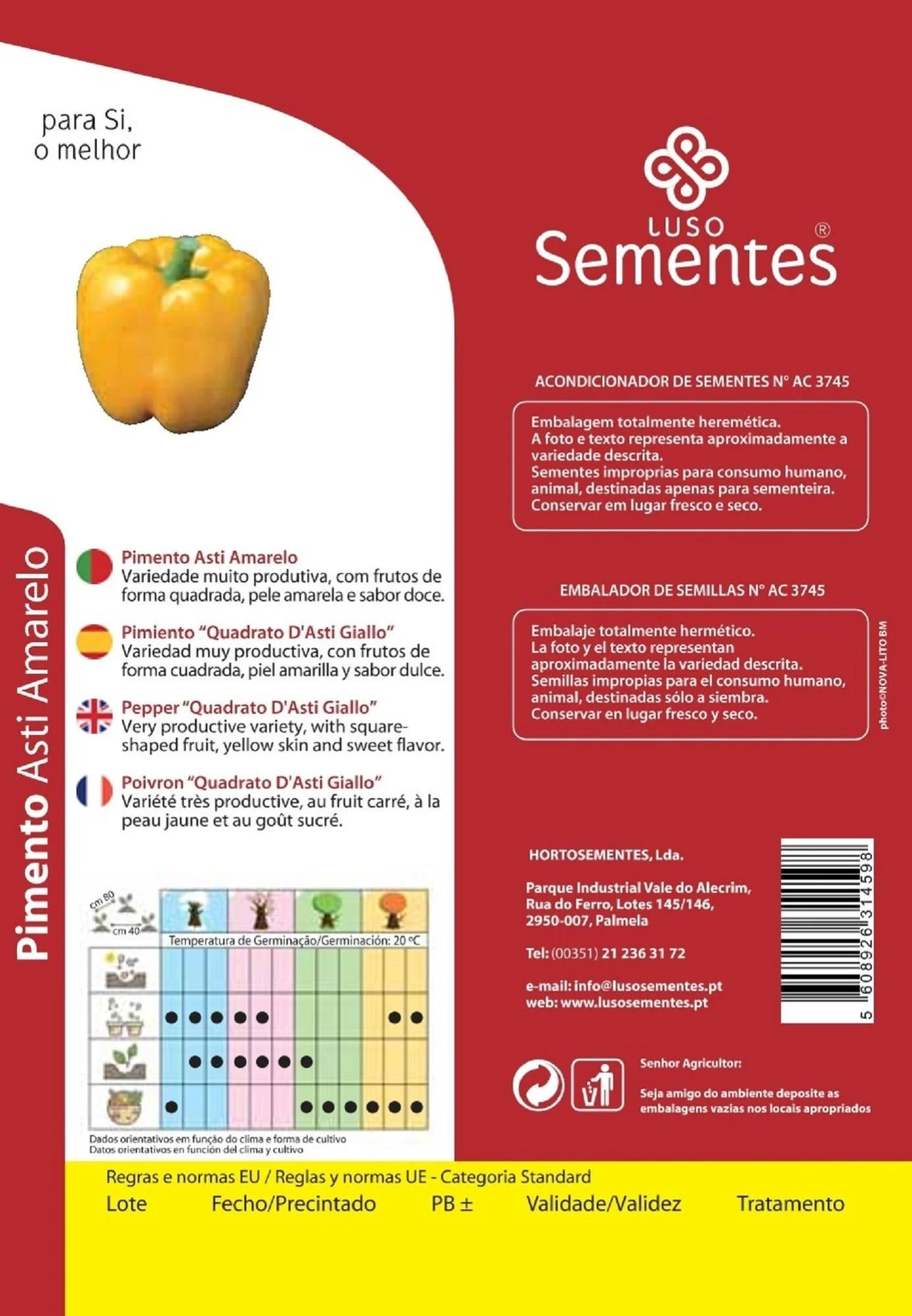 Vânia Coelho (@avaniacoelho) • Instagram photos and videos, image size:1384x1998