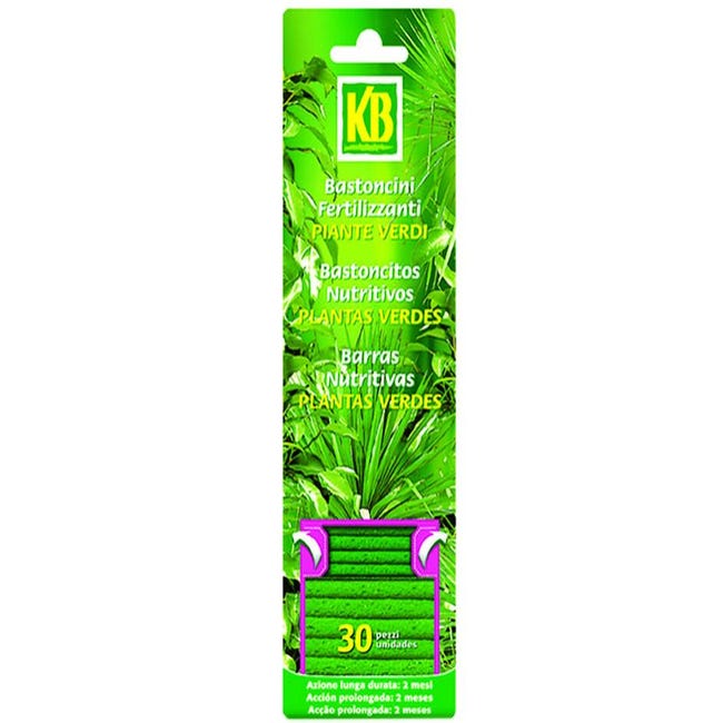 Substral - Bastoncini Fertilizzanti Per Piante Verdi, 60 Pz