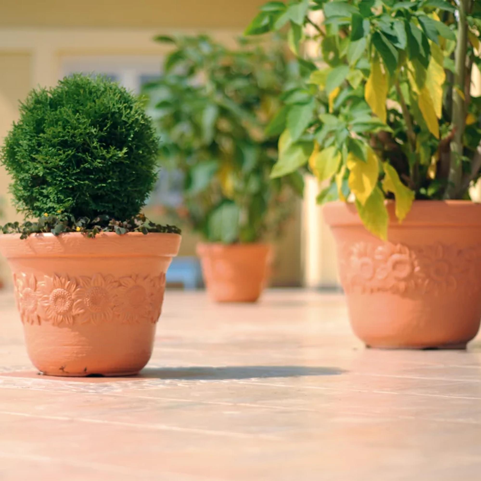 Vaso per piante e fiori Alto Graffiato in terracotta terracotta H 40 cm
