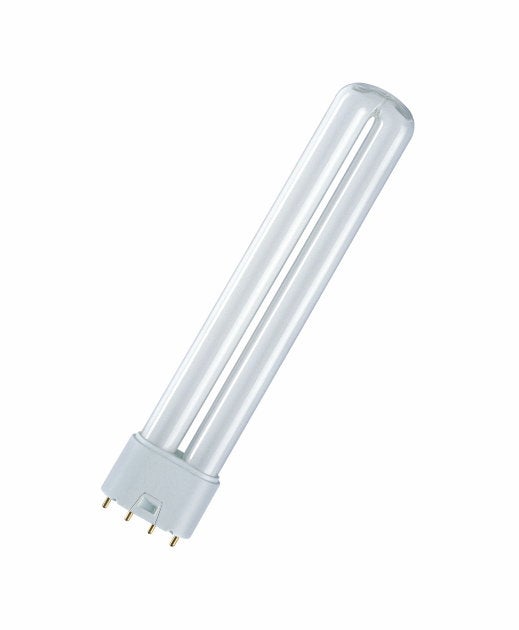 Ampoule Dulux L Blanc de Luxe 55W économique cuLot 2G11 - Mon Habitat  Electrique