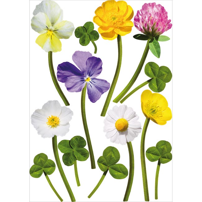 Sticker autocollant décoratif, photo mélange de fleurs des champs
