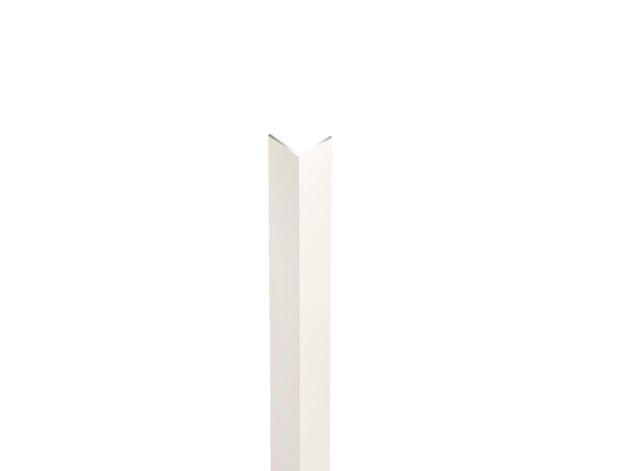 Profilo Angolare Asimmetrico STANDERS In Inox Argento Lucido L 1 M 20x10 Mm 87477549