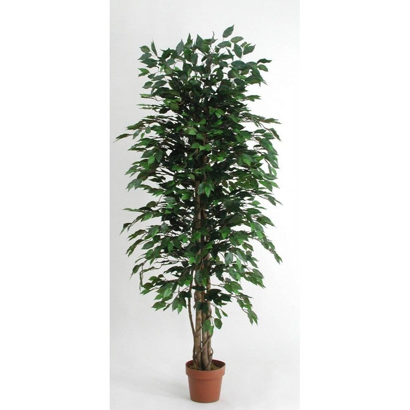 Ficus Artificiale Low Cost Verde 200cm