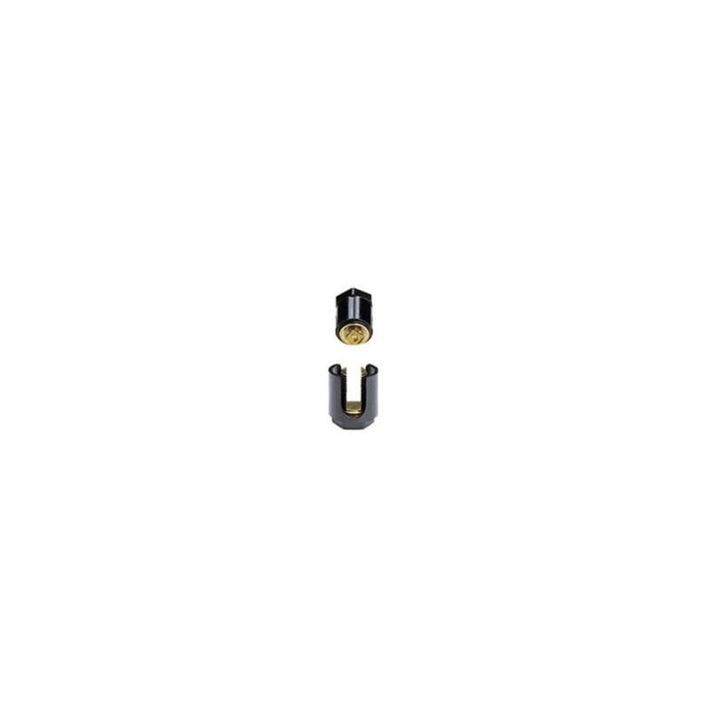 Legrand 034031 Borne anti cisaillante Ecrou 6 pans sans pattes 2x10 mm2 - 2