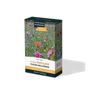 BeGreat Mélange de Fleurs OwnGrown 100g Graines d'Abeilles - Prairie  Florale Conviviales, Couleur, Jusqu'à 100m²