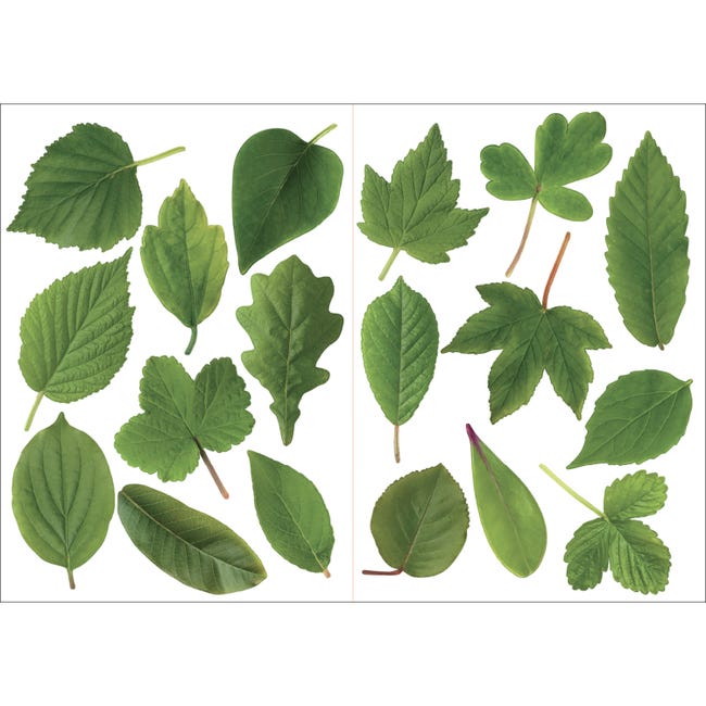 Sticker décoratif feuilles vertes