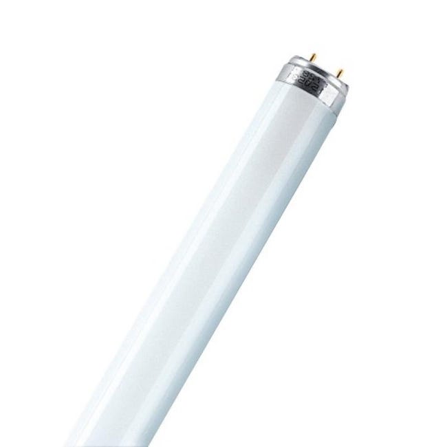 Tube Néon LED 120cm T8 Opaque 18W IP20 Eclairage de Secours 8W - Blanc  Froid 600
