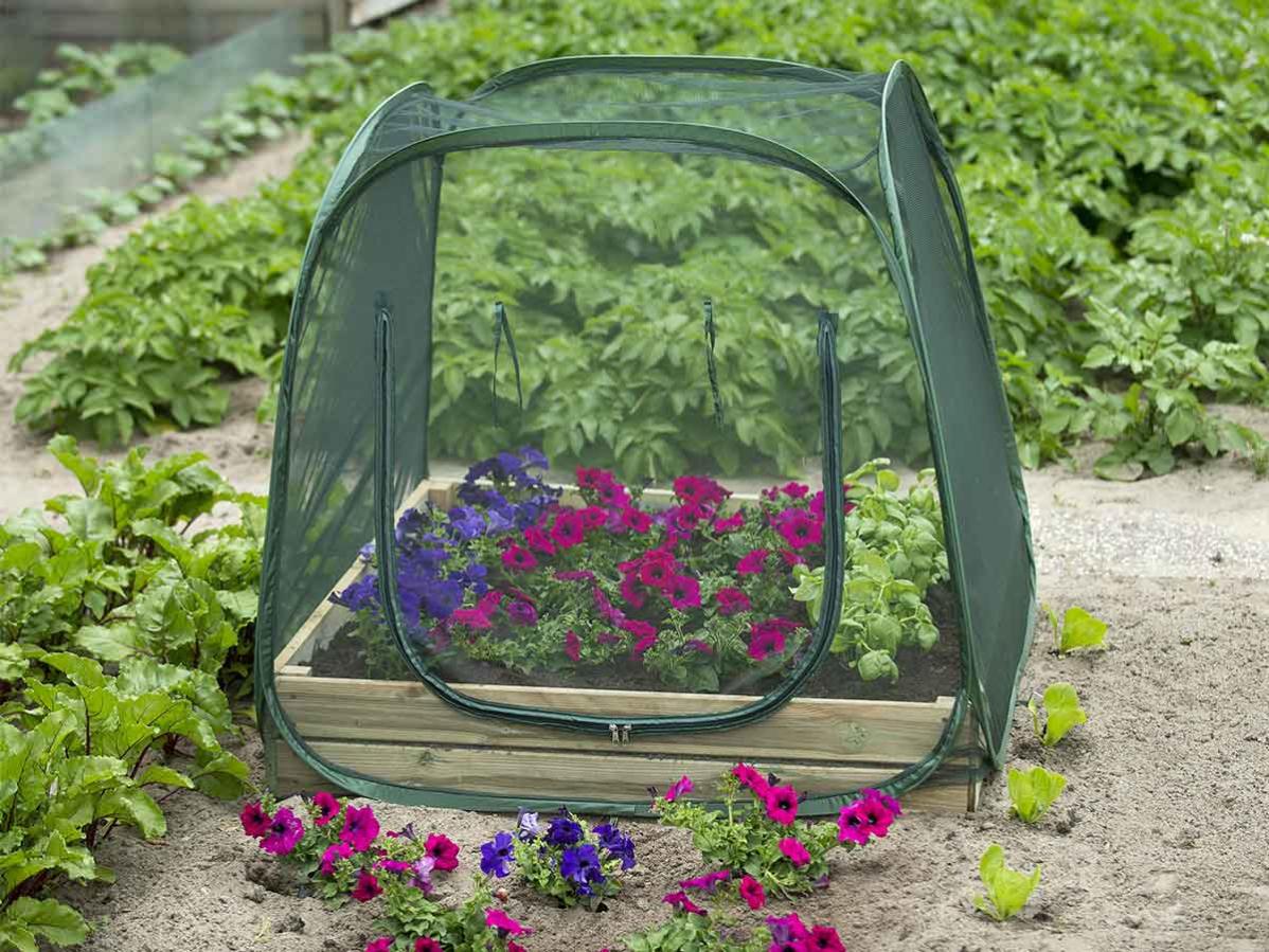 NATURE Rete anti insetti per orto - 100x100x100cm | Leroy Merlin