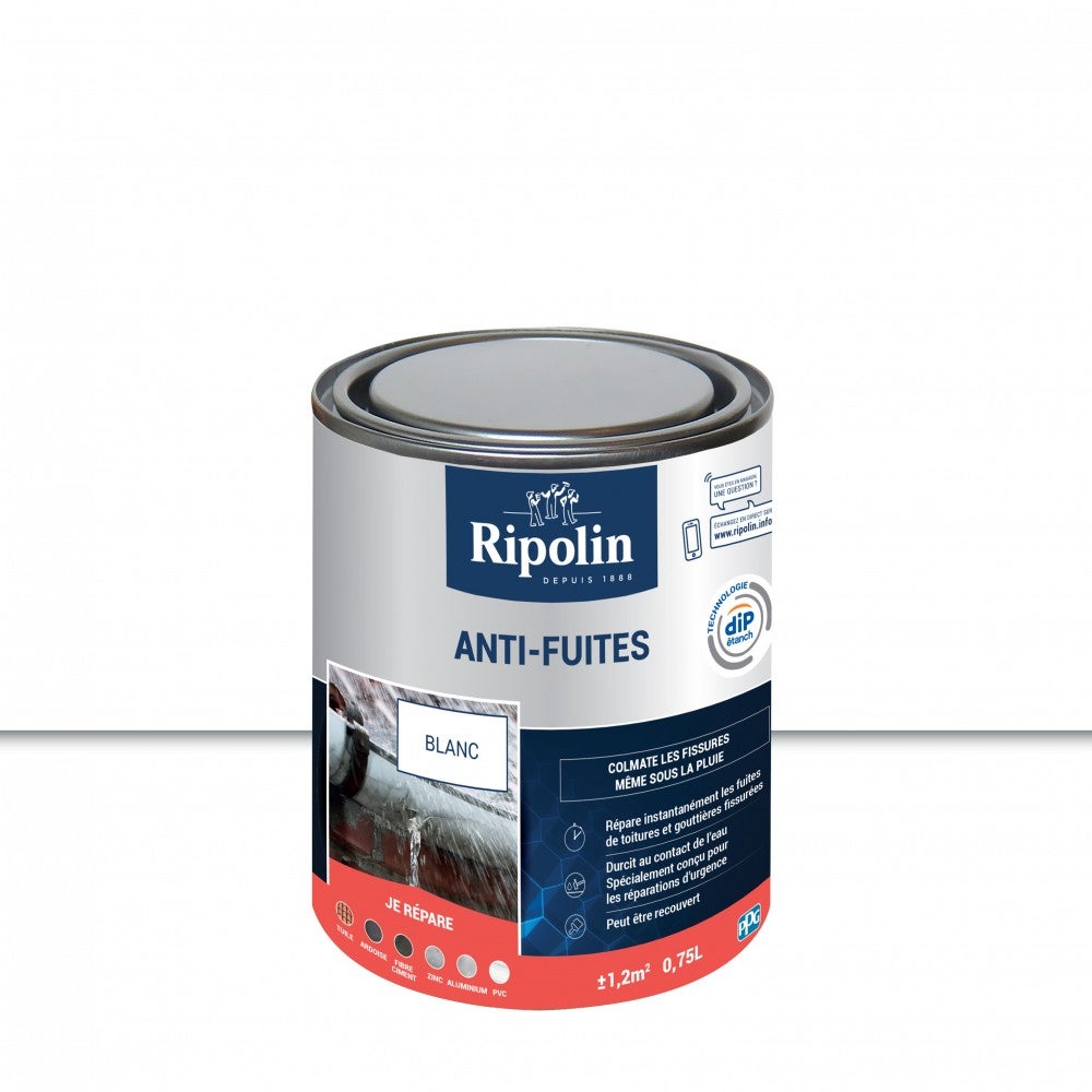 Rivestimento Impermeabilizzante Ripolin Copertura Antiperdita E