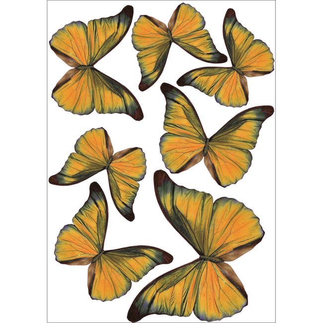 Página 16  Fotos de Mariposas Decorativas, +65.000 Fotos de stock