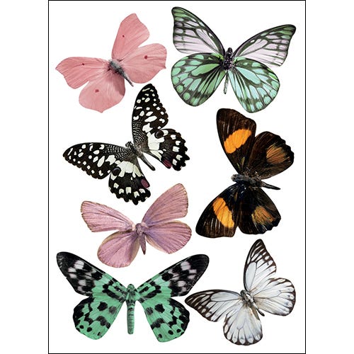 Adhésif 3D qui ressort du mur, vrais papillons roses et verts, x7, 21 cm X  29,7 cm