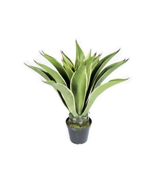 Plante artificielle haute gamme Spécial extérieur / PIN artificiel BONSAI -  Dim : 95 x 60 cm -PEGANE