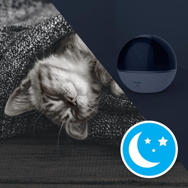 Kit Ezviz Telecamera di Sicurezza Sferica C6T RF CS-CV248-A0-32WMFR IP ...