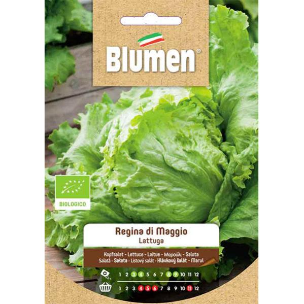 Sperli Semi Di Lattuga Dynamite - Semi Di Ortaggi Per Giardinaggio, Qualità Tradizionale, Verde