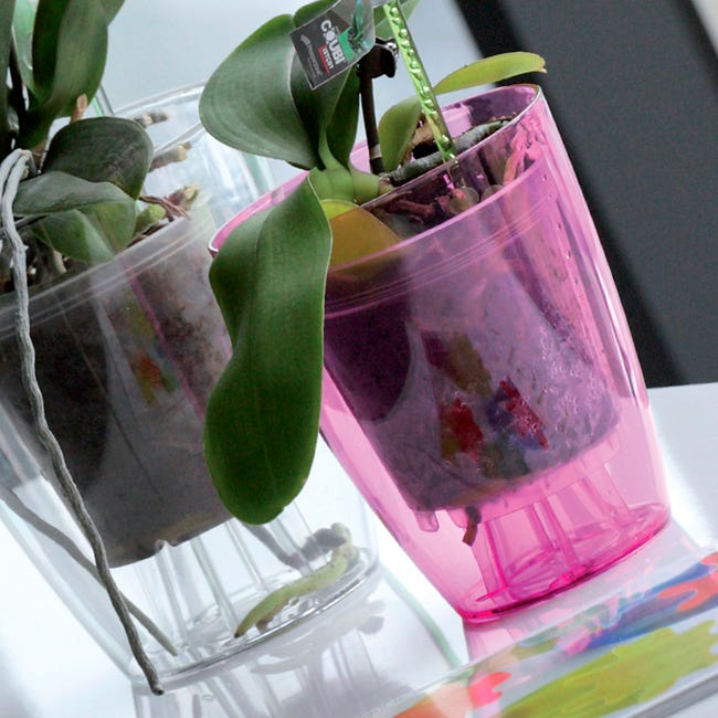 Pot à orchidée en plastique Coubi Orchid de couleur blanc transparent 13,2  (L) x 13,2 (l) x 16 (H) cm
