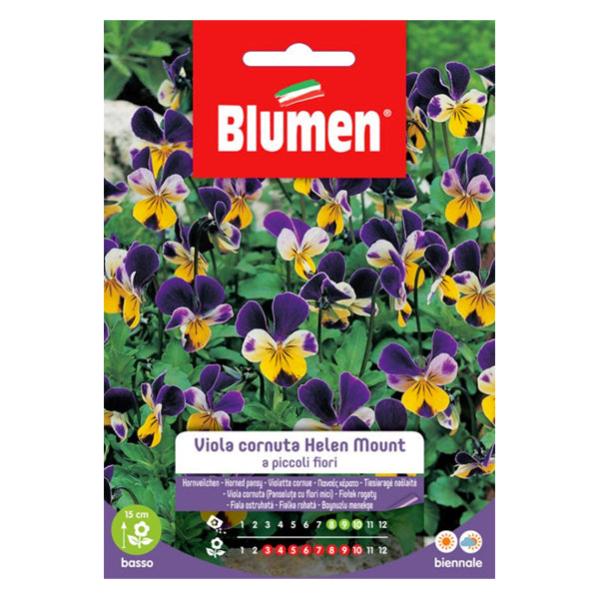 Ombretto viola brillante Fiori d'Ombra Ombretto viola brillante Fiori d'Ombra