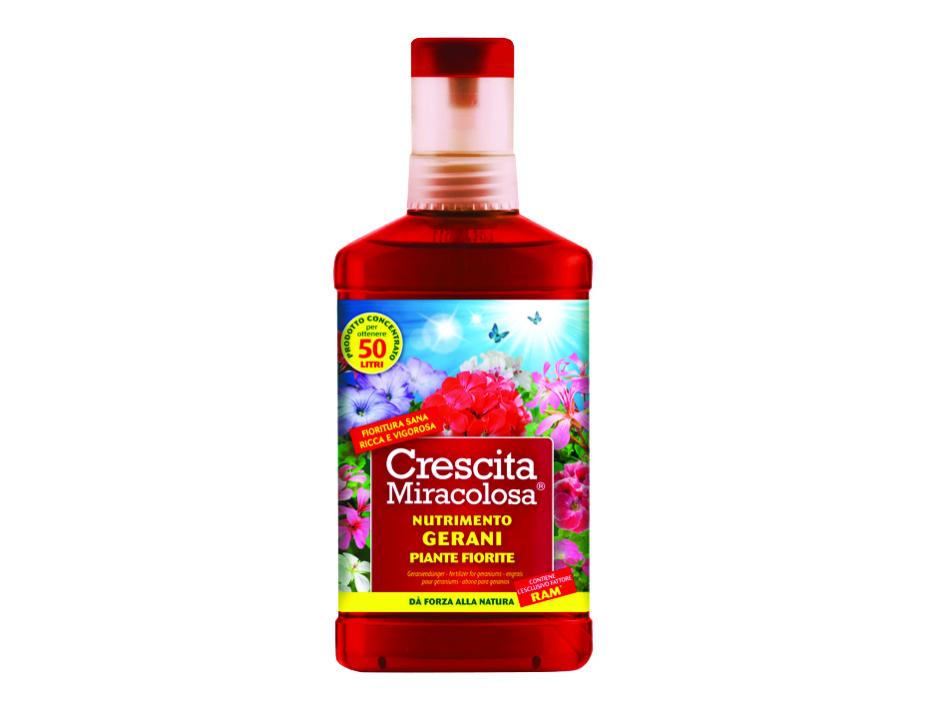 Crescita Miracolosa Universale Piante Nutrimento Gerani Piante Fiorite