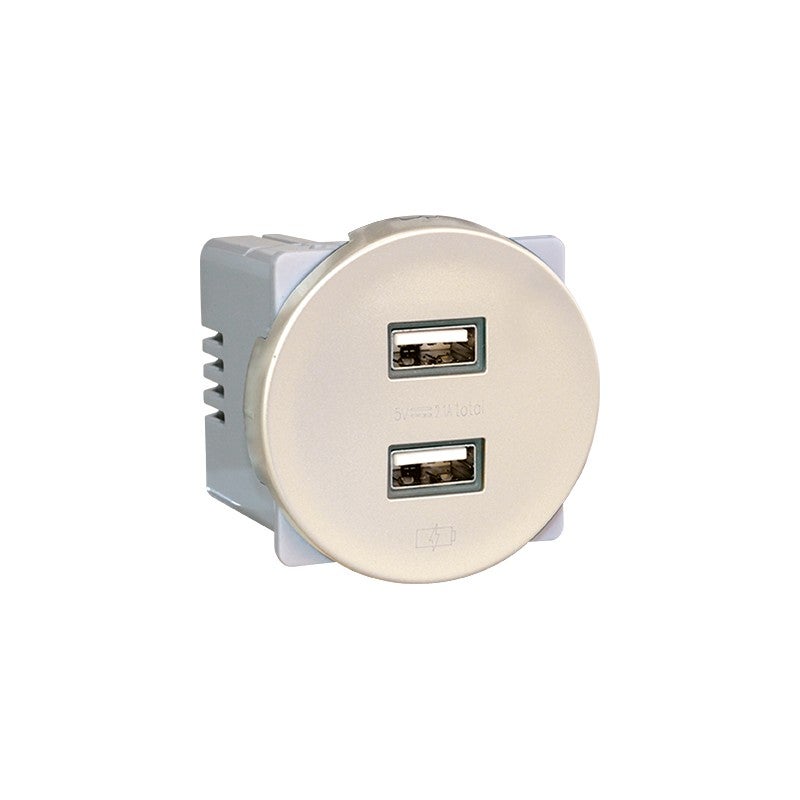 Prise Chargeur Double Usb V Type A Comete Couleur Silver Leroy