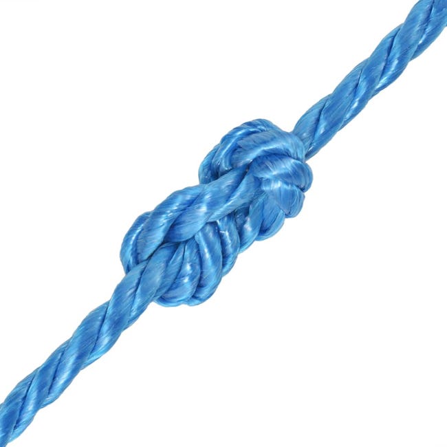 Corde torsadée Polypropylène 14 mm 100 m Bleu vidaXL