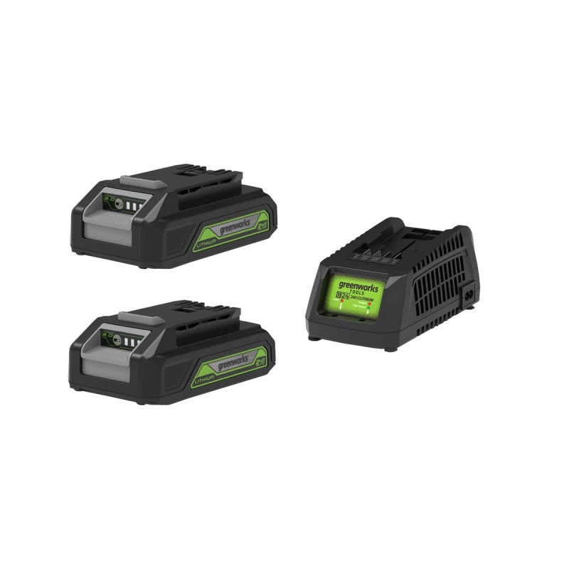 Pack GREENWORKS 24V - 2 Batteries 2,0Ah Lithium-ion - 1 Chargeur ...