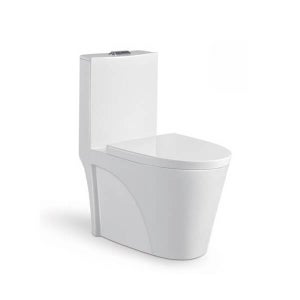 Geberit Pack Wc Duofix UP100 + Plaque De Commande Delta 25 blanc  (setup100-pro1)+ Cuvette OTTAWA Wc Suspendue sans bride