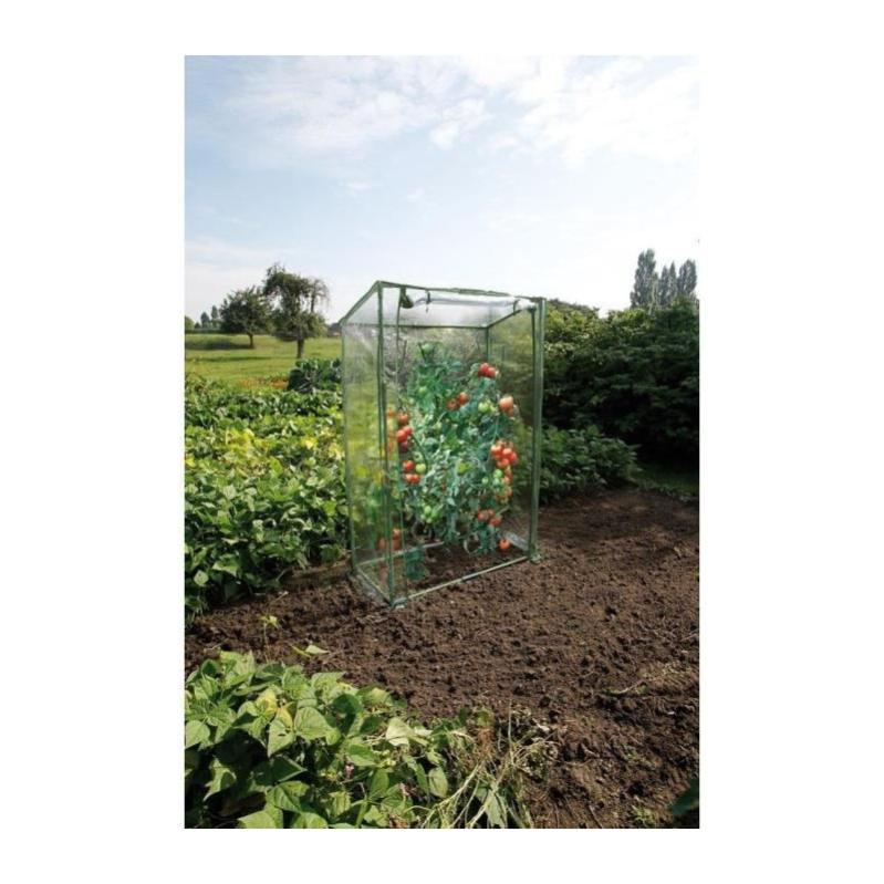 Serra per pomodori 100 x 50 x 150 cm