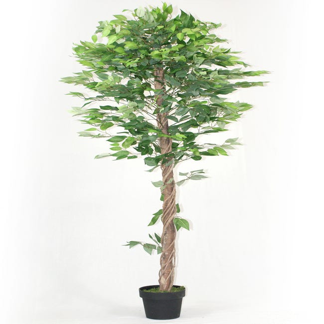 Arbre Artificiel Ficus - Hauteur 180 Cm | Leroy Merlin