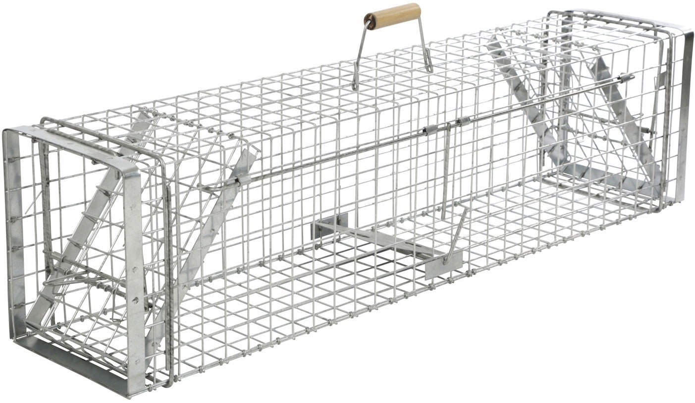 Piege A Animaux Alive Predator Super 105 X 26 X 30 Cm Kerbl Leroy Merlin
