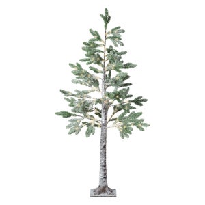 Alberi con Luci Incorporate - BouquetLab