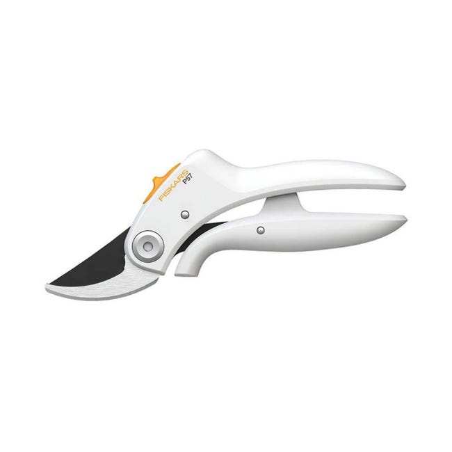 Rohailind Forbici Per Corona Curva Dentale Per Uso ... - Alibaba Rohailind Forbici Per Corona Curva Dentale Per Uso ... - Alibaba