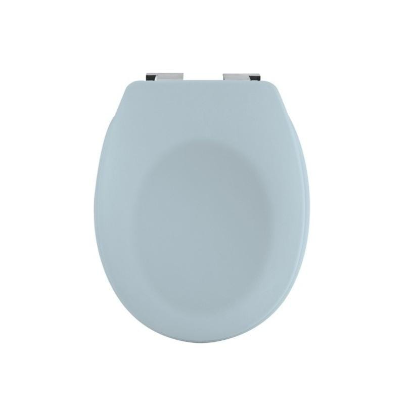 Cuvette wc bleu sales canard