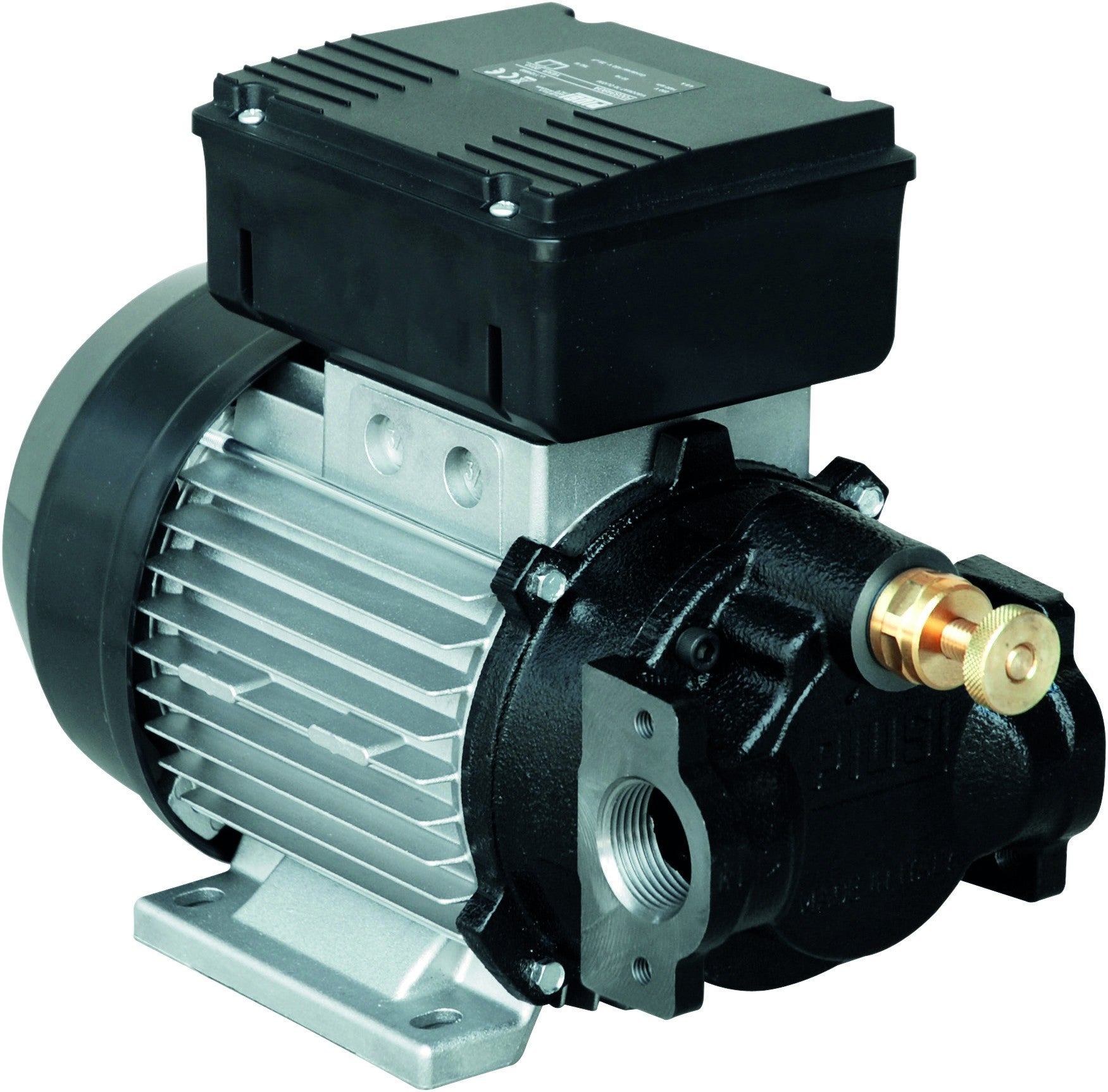 POMPE À HUILE ÉLECTRIQUE À PALETTE 1600W 50L/MIN PIUSI S08592 Leroy Merlin