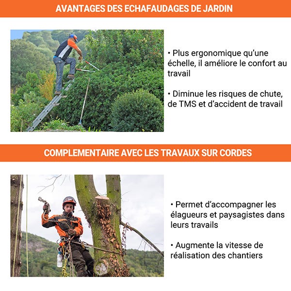 Le recrutement des arboristes - élagueurs - Ville de Paris