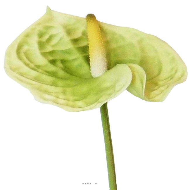 Anthurium artificiel H 70 cm très belle fleur exotique Vert crème -  couleur: Jaune-vert | Leroy Merlin