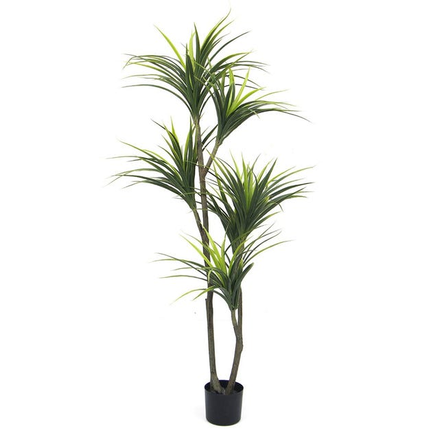 Plante artificielle - Dracaena 150cm - EXELGREEN | Leroy Merlin