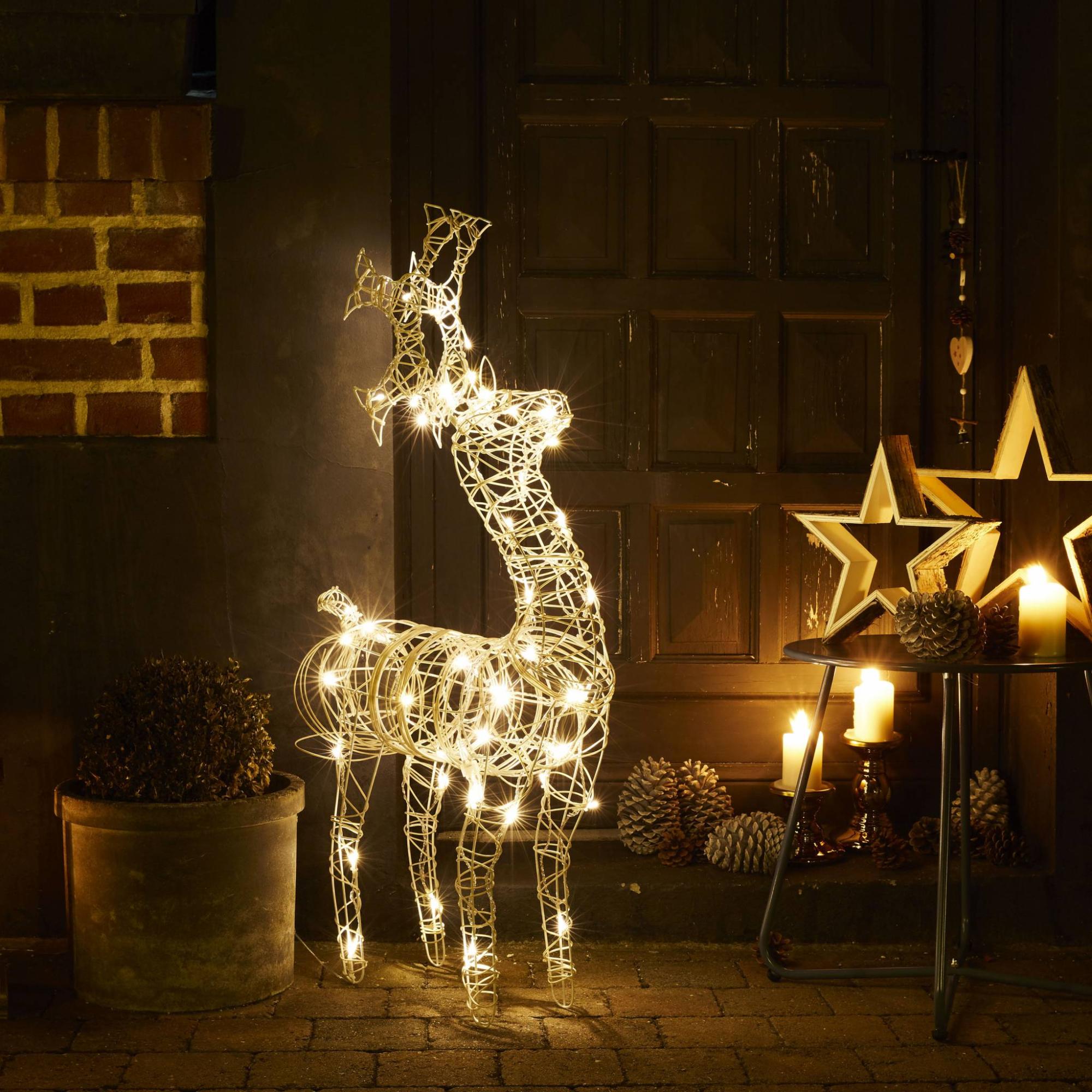 Renne Lumineux Blanc. 50 Leds Blanc Chaud | Leroy Merlin