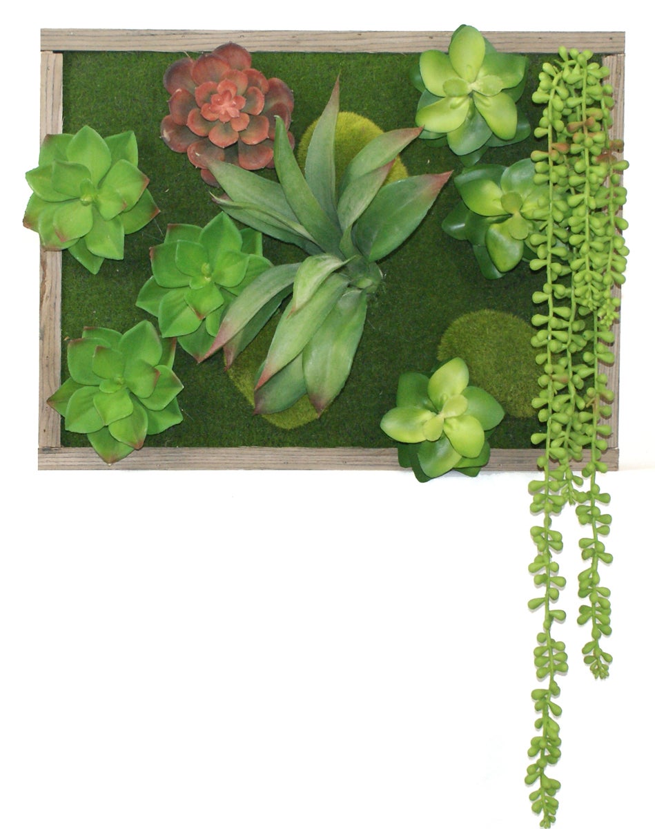Tableau Végétal Mural Avec Plantes Artificielles Grasses Et Cadre Bois -  40x30cm