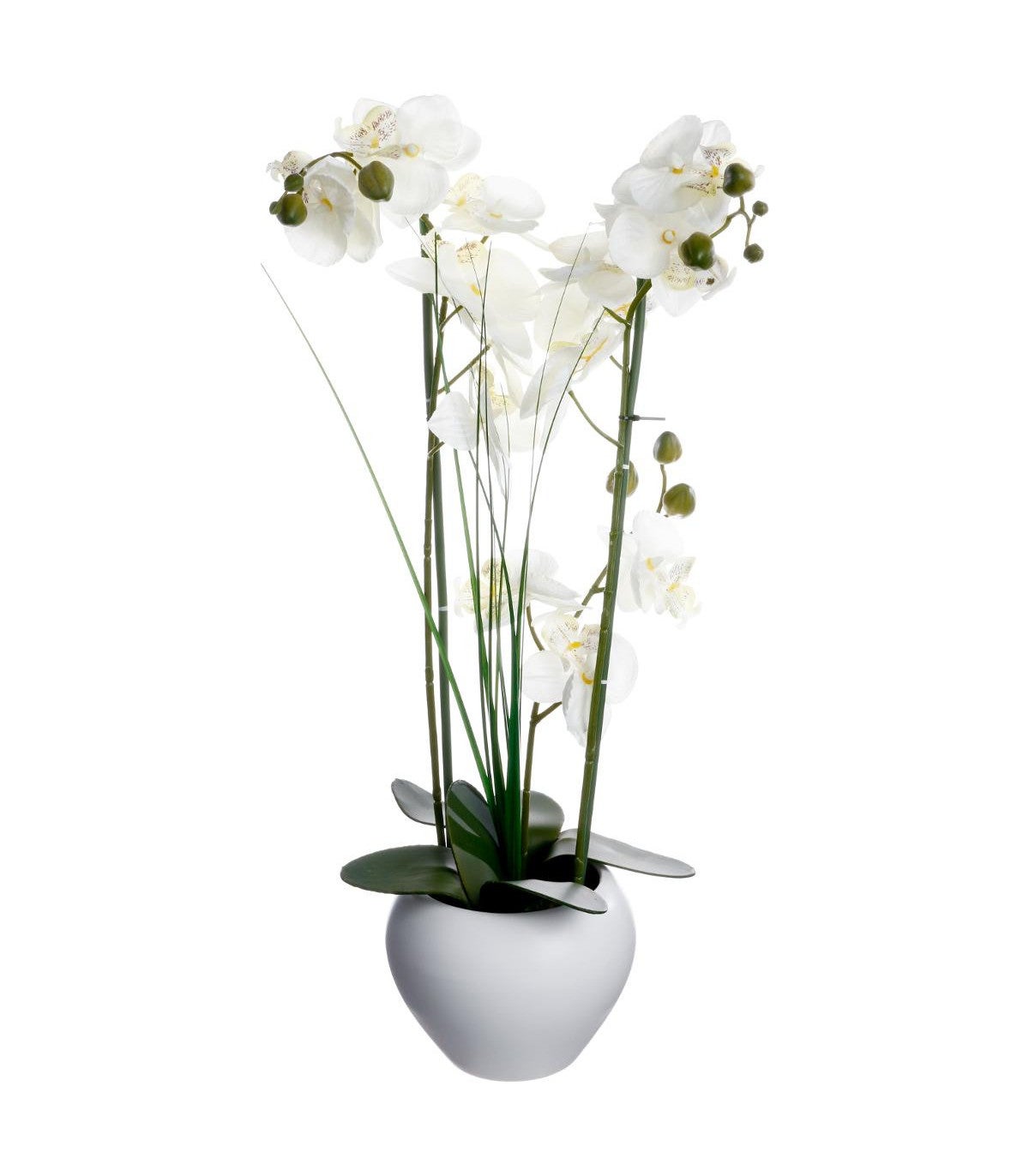 Orchidées artificielles pot en ciment 105cm Couleur blanc Ligne Deco